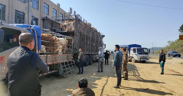 1683536197356350.png 1683536167899.png